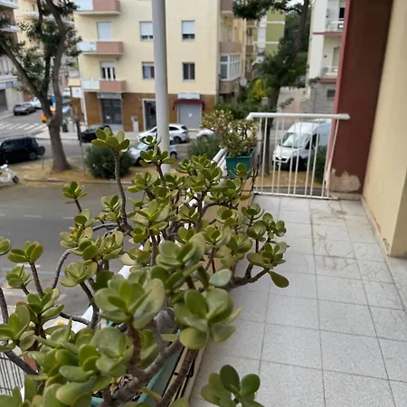 Benthos * Cagliari